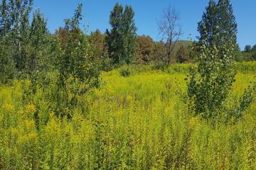 Фото №2: Коммерция 264 м² - Краснодарский край муниципальный округ Горячий Ключ