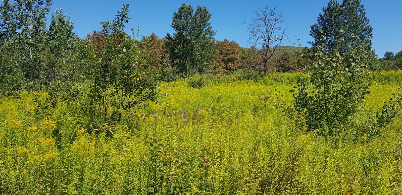 Фото №2: Коммерция 264 м² - Краснодарский край муниципальный округ Горячий Ключ