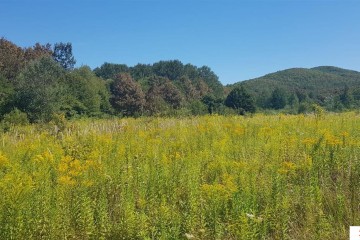 Фото №1: Коммерческая земля 264 сот. - Краснодарский край муниципальный округ Горячий Ключ