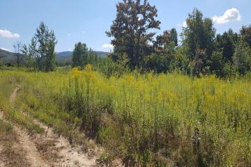 Фото №5: Коммерция 264 м² - Краснодарский край муниципальный округ Горячий Ключ