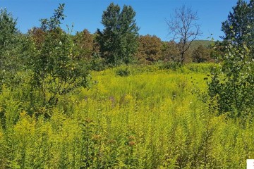 Фото №2: Коммерческая земля 264 сот. - Краснодарский край муниципальный округ Горячий Ключ