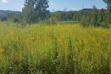 Фото №3: Коммерция 264 м² - Краснодарский край муниципальный округ Горячий Ключ