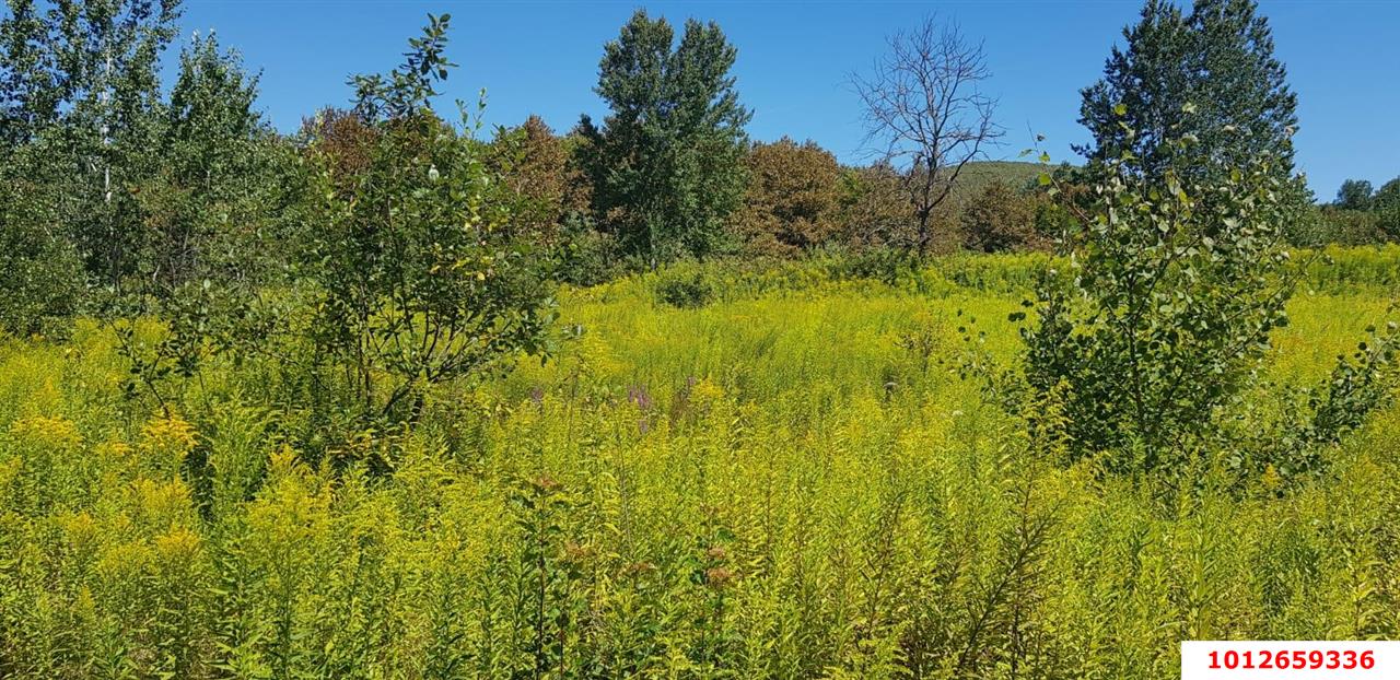 Фото №2: Коммерческая земля 264 сот. - Краснодарский край муниципальный округ Горячий Ключ