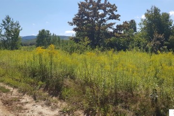 Фото №5: Коммерческая земля 264 сот. - Краснодарский край муниципальный округ Горячий Ключ