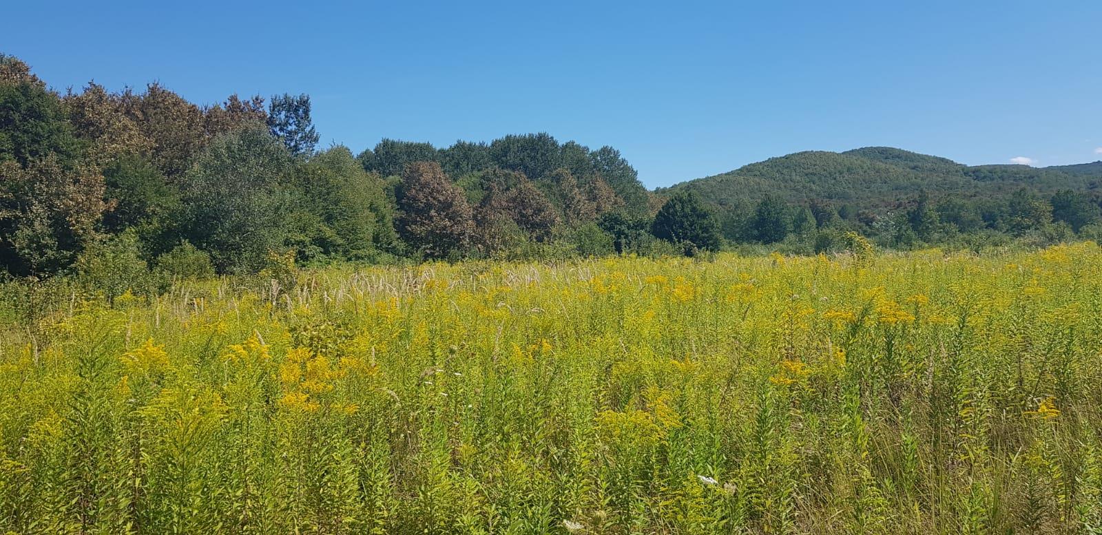 Фото №1: Коммерция 264 м² - Краснодарский край муниципальный округ Горячий Ключ