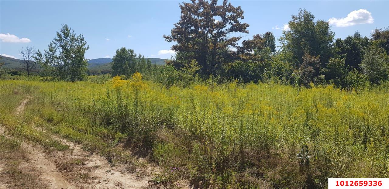 Фото №5: Коммерческая земля 264 сот. - Краснодарский край муниципальный округ Горячий Ключ