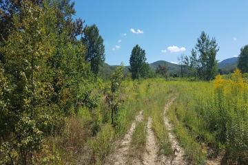 Фото №4: Коммерция 264 м² - Краснодарский край муниципальный округ Горячий Ключ