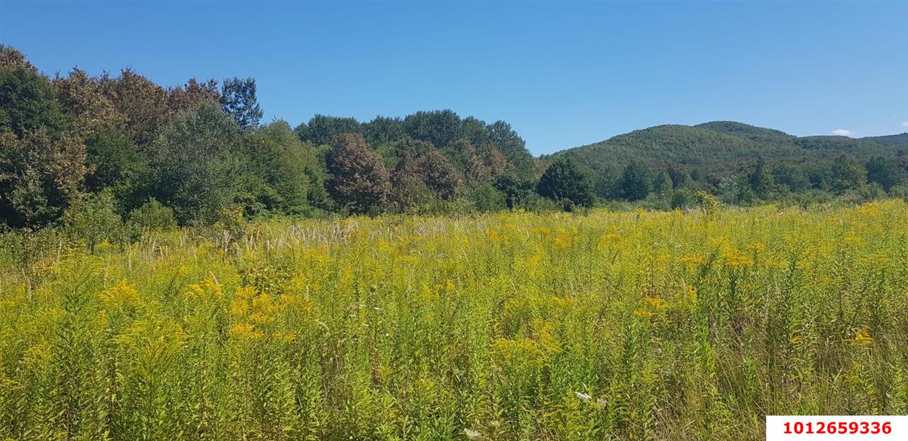 Фото №1: Коммерческая земля 264 сот. - Краснодарский край муниципальный округ Горячий Ключ