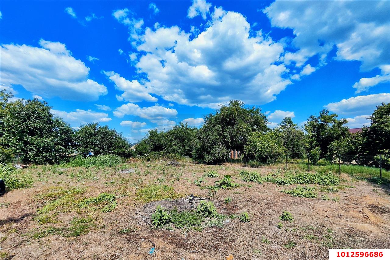Фото №2: Личное подсобное хозяйство - Мехзаводское, мкр. Прикубанский внутригородской округ, ул. Абрикосовая, 311