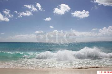 Фото №4: Земельный участок 6 сот. - Кучугуры, ул. Прохладная, 30