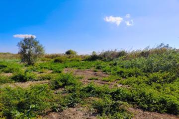 Фото №3: Коммерция 20 м² - Краснодар, мкр. Карасунский внутригородской округ, 