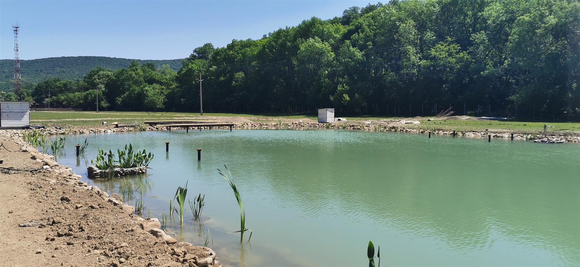 Фото №15: Коммерция 633 м² - Пятигорская, ул. Заречная, 1