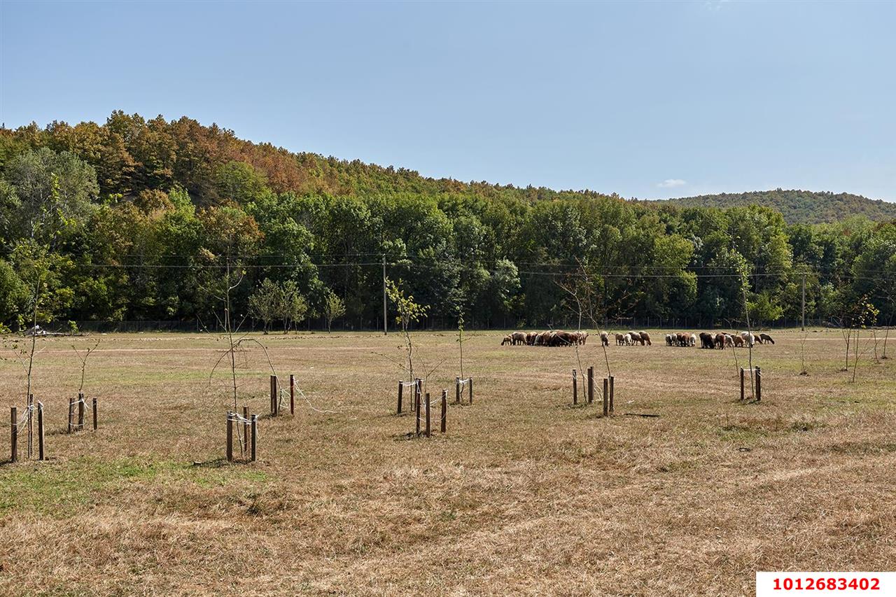 Фото №9: Коммерческая земля 633 сот. - Пятигорская, ул. Заречная, 1