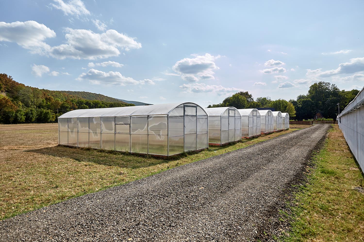 Фото №12: Коммерция 633 м² - Пятигорская, ул. Заречная, 1