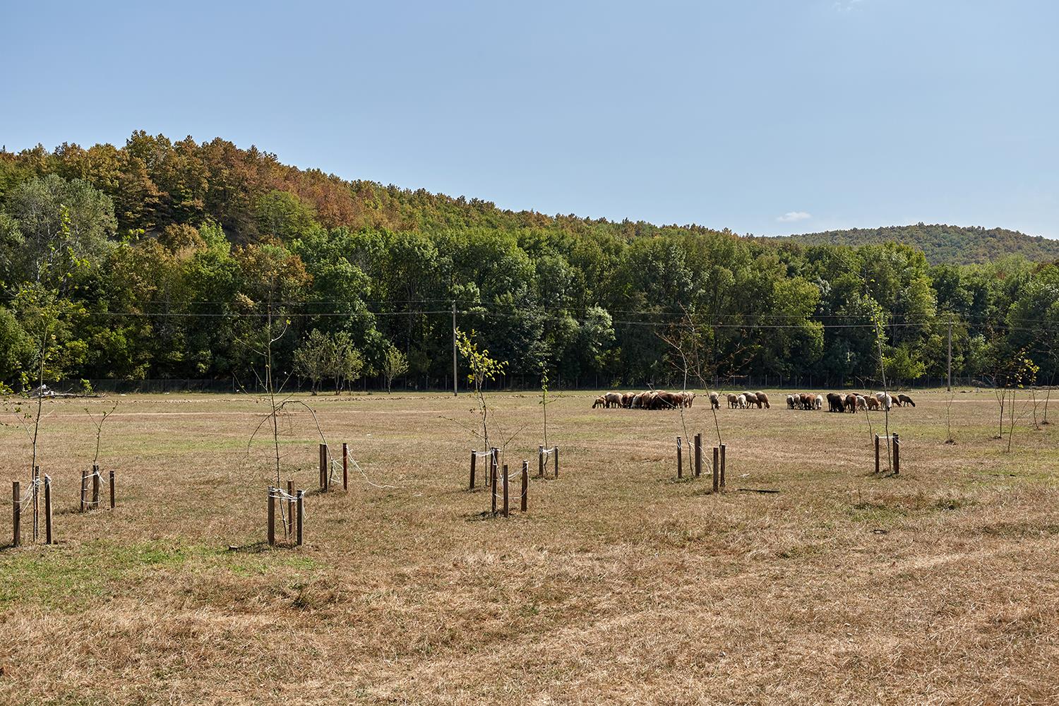 Фото №9: Коммерция 633 м² - Пятигорская, ул. Заречная, 1