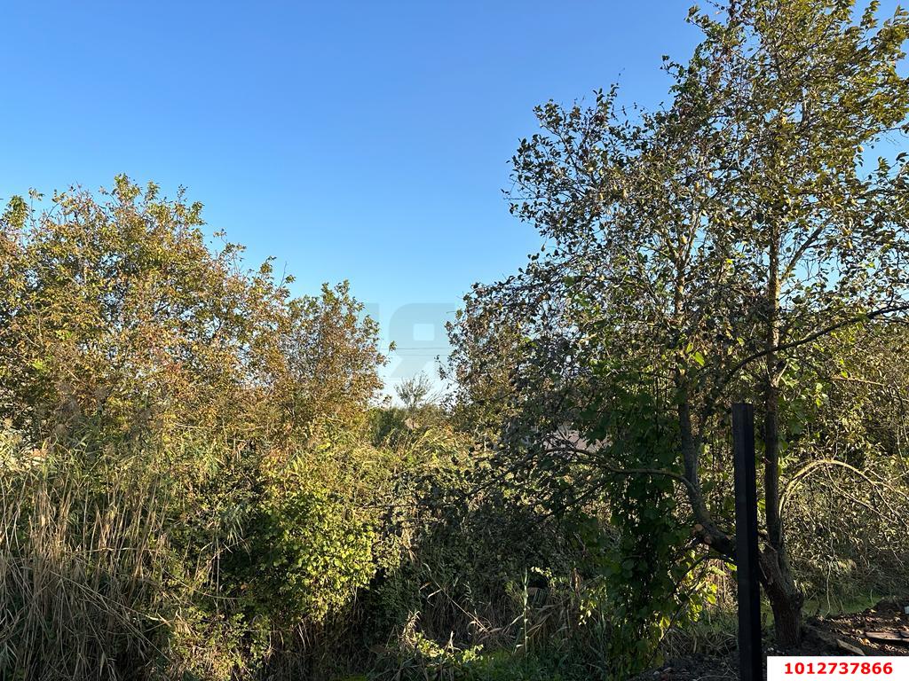 Фото №6: Дом 100 м² + 4 сот. - Елизаветинская, Прикубанский внутригородской округ, ст Нива, ул. Ягодная, 268