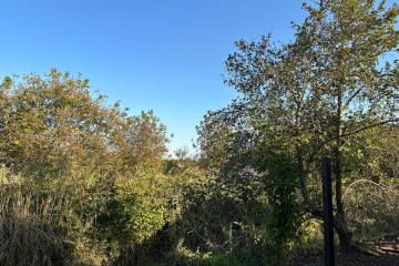 Фото №3: Дом 100 м² - Елизаветинская, ст Нива, ул. Ягодная, 209