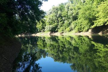 Фото №2: Дом 35 м² - Весёлый, ул. Первомайская, 12