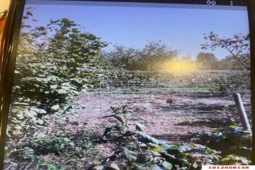 Фото №5: Дом 51 м² - Новодмитриевская, ул. Пушкина, 72