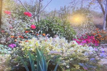 Фото №3: Дом 51 м² - Новодмитриевская, ул. Пушкина, 72