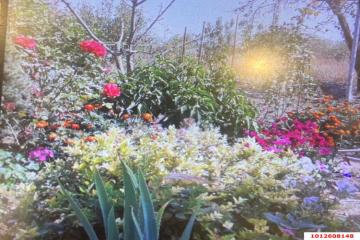 Фото №3: Дом 51 м² - Новодмитриевская, ул. Пушкина, 72