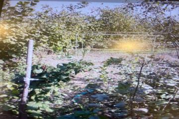 Фото №4: Дом 51 м² - Новодмитриевская, ул. Пушкина, 72