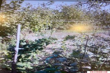 Фото №4: Дом 51 м² - Новодмитриевская, ул. Пушкина, 72