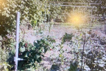 Фото №4: Дом 51 м² - Новодмитриевская, ул. Пушкина, 72