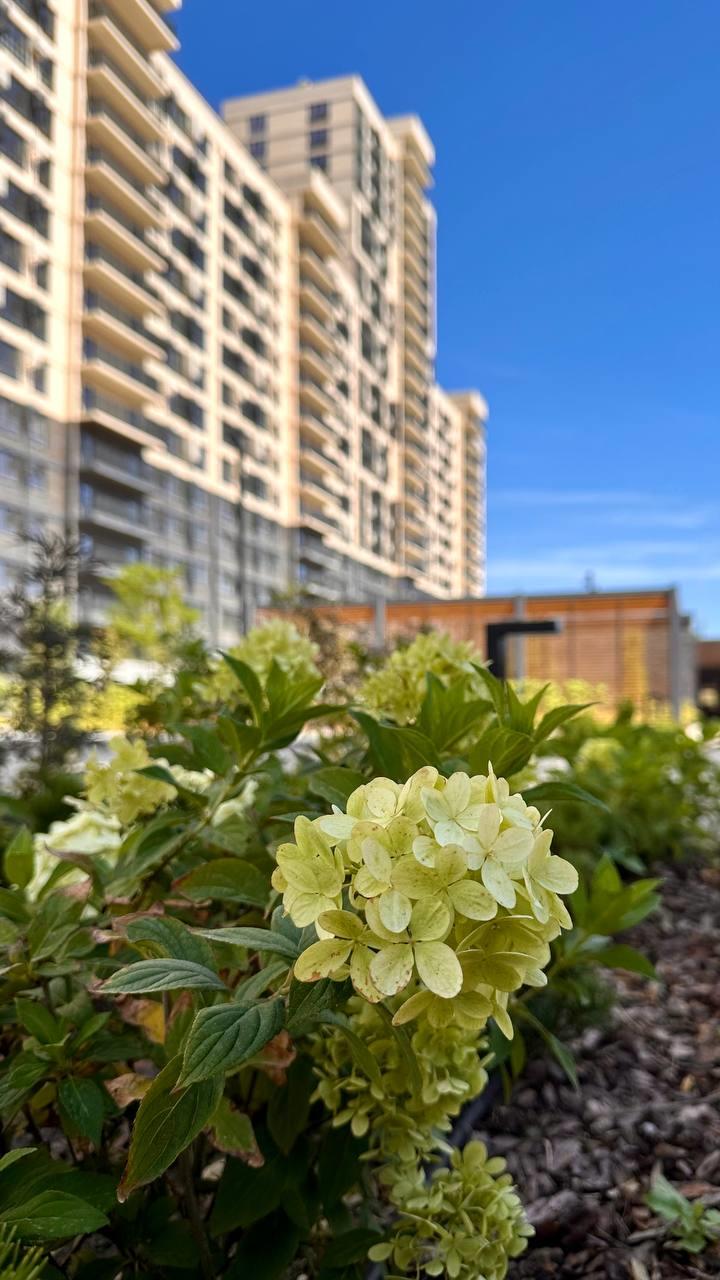 Фото №13: 2-комнатная квартира 56 м² - Краснодар, Центральный внутригородской округ, мкр. Черёмушки, ул. Обрывная, 132/1к21