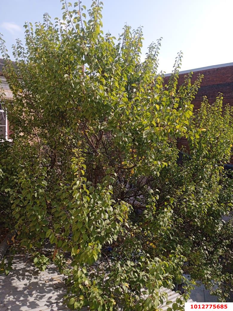 Фото №11: Студия 12 м² - Краснодар, Центральный внутригородской округ, мкр. Центральный, ул. Красноармейская, 63