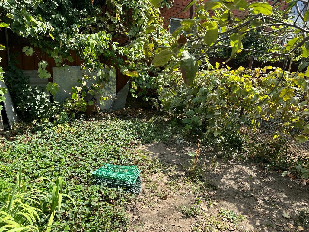 Фото №7: Дом 60 м² + 4.24 сот. - СНТ Автомобилист, мкр. Прикубанский внутригородской округ, ул. Апельсиновая, 15