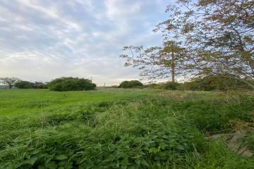 Фото №3: Коммерция 2 м² - Яблоновский, 