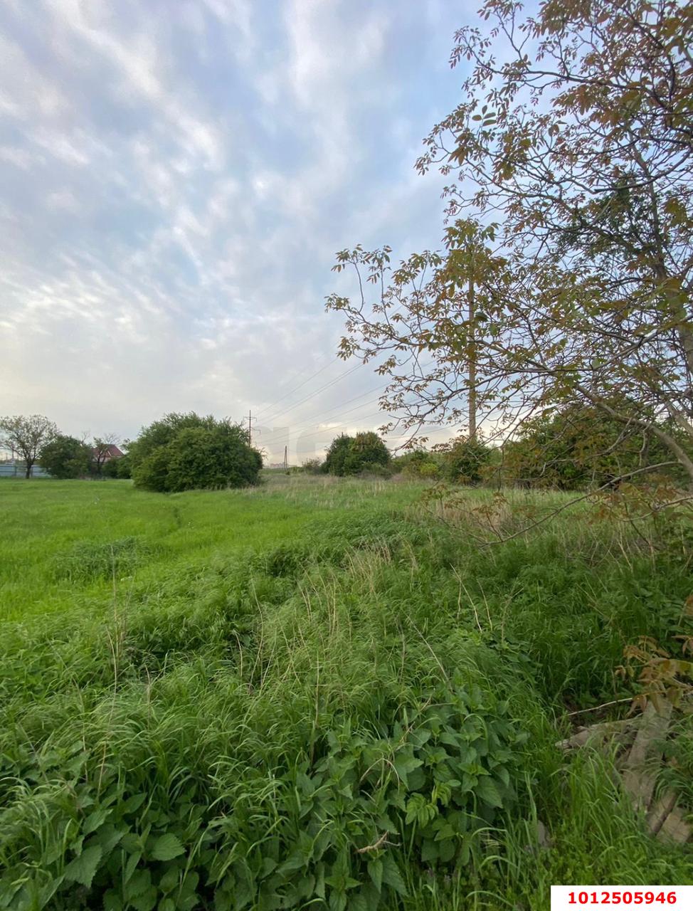 Фото №3: Коммерческая земля 2 сот. - Яблоновский