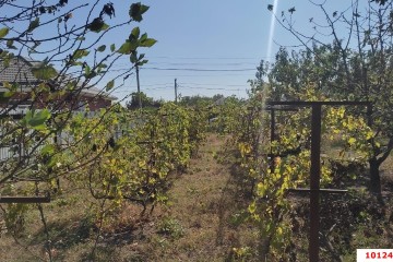 Фото №4: Земельный участок под ИЖС 8 сот. - СНТ Победитель, мкр. Прикубанский внутригородской округ, ул. Рокоссовского, 367