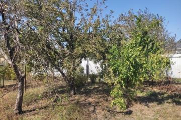 Фото №5: Земельный участок 8 сот. - СНТ Победитель, мкр. Прикубанский внутригородской округ, ул. Рокоссовского, 367