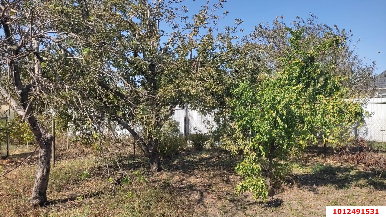 Фото №5: Земельный участок 8 сот. - СНТ Победитель, мкр. Прикубанский внутригородской округ, ул. Рокоссовского, 367