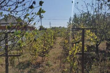 Фото №4: Земельный участок 8 сот. - СНТ Победитель, мкр. Прикубанский внутригородской округ, ул. Рокоссовского, 367