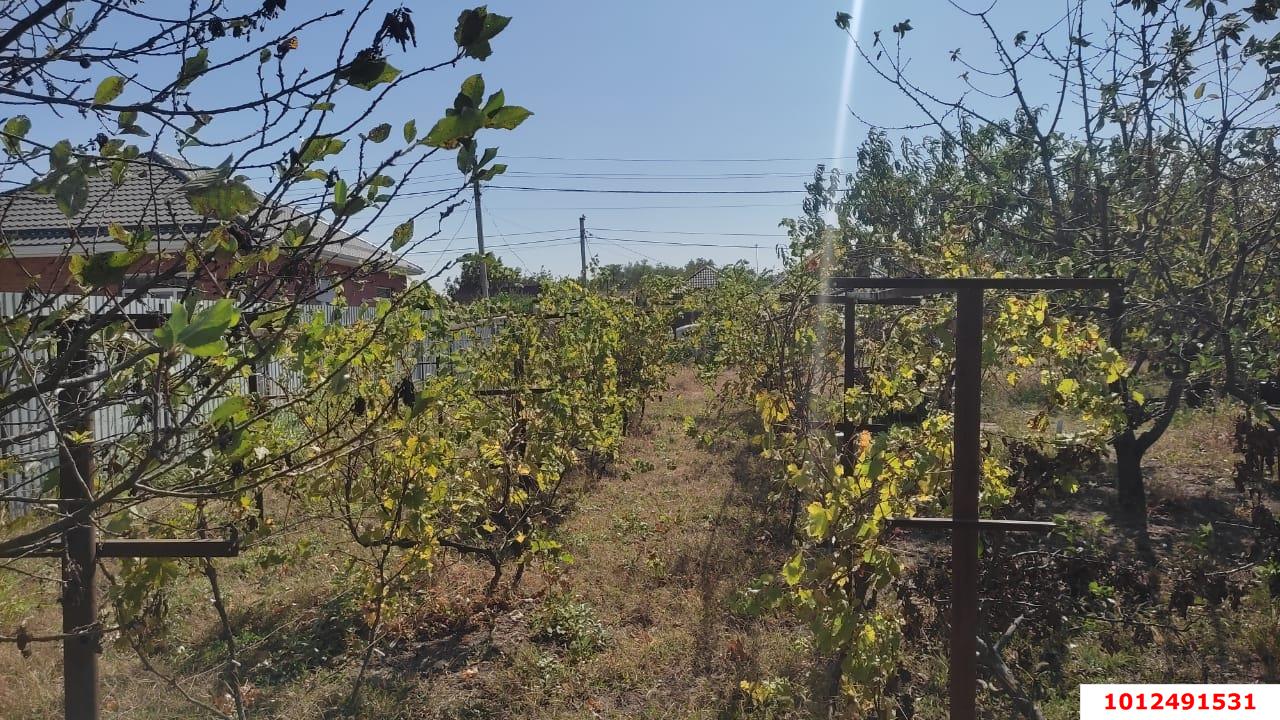 Фото №4: Земельный участок 8 сот. - СНТ Победитель, мкр. Прикубанский внутригородской округ, ул. Рокоссовского, 367