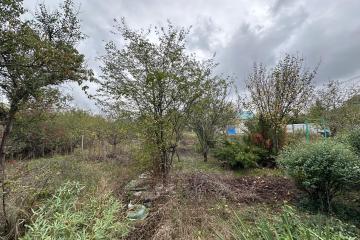 Фото №3: Дом 24 м² - с/т Юбилейное, мкр. Прикубанский внутригородской округ, ул. Малиновая, 29