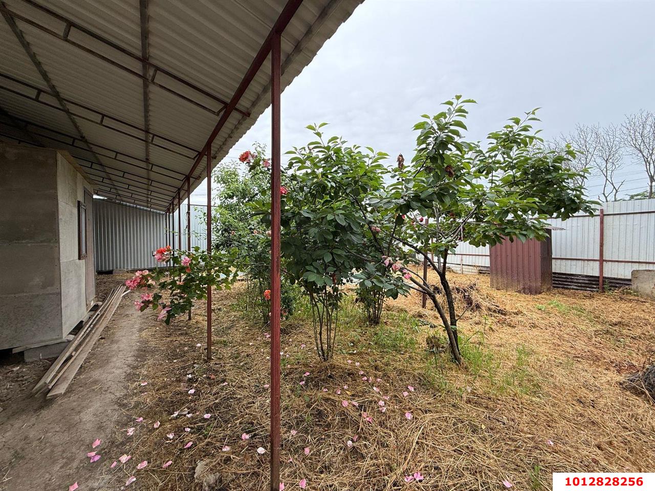 Фото №14: Дом 120 м² + 4.5 сот. - Елизаветинская, коммерческое  Надежда, ул. Светлая, 6