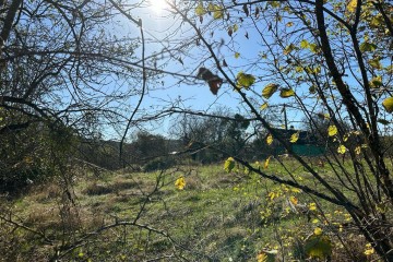 Фото №4: Земельный участок под ИЖС 9.37 сот. - Шабановское, ул. Лесная, 3