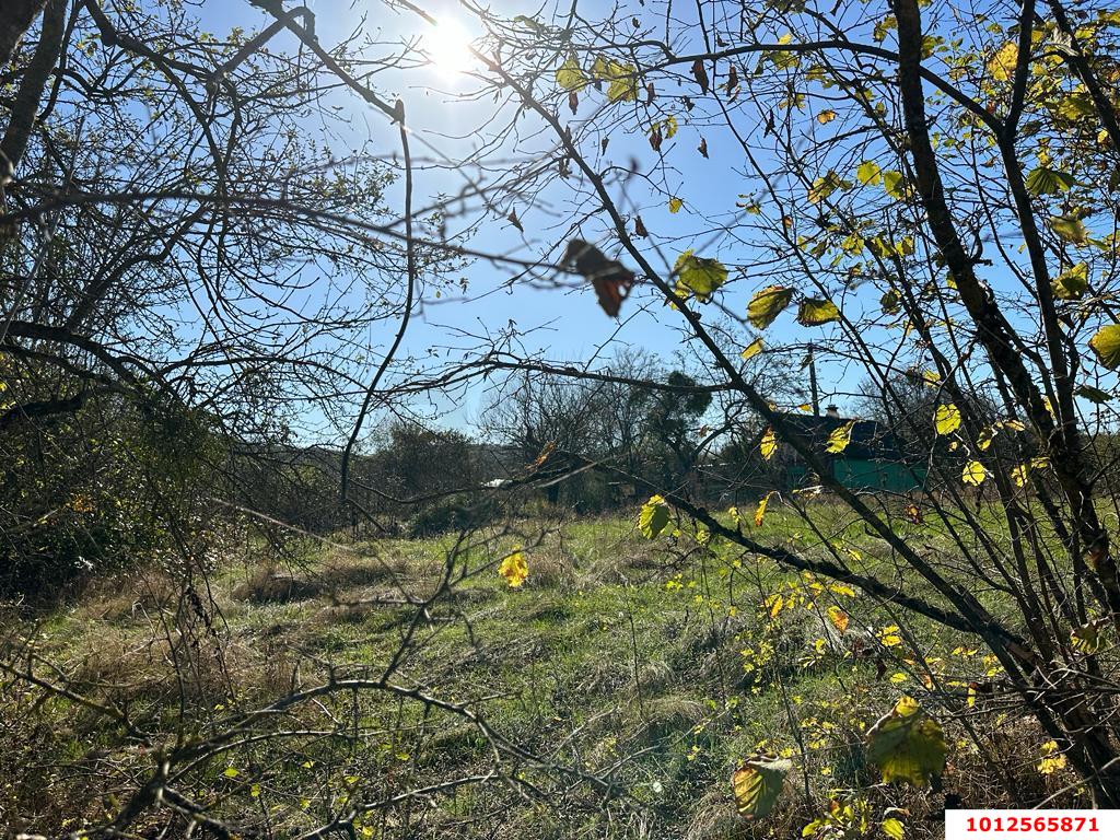 Фото №4: Земельный участок под ИЖС 9.37 сот. - Шабановское, ул. Лесная, 3