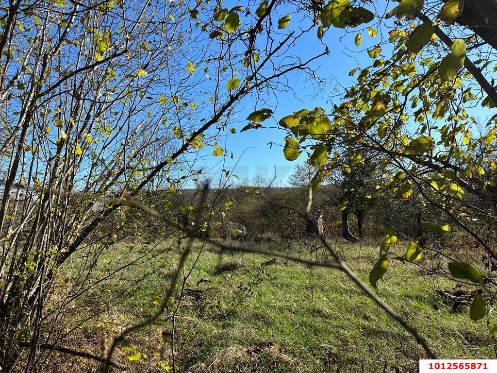 Фото №10: Земельный участок 9.37 сот. - Шабановское, ул. Лесная, 3