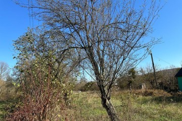 Фото №2: Земельный участок под ИЖС 9.37 сот. - Шабановское, ул. Лесная, 3