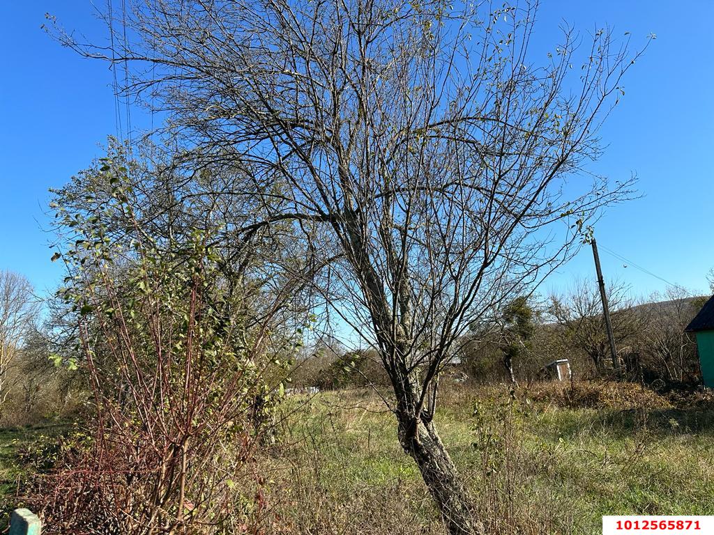 Фото №2: Земельный участок под ИЖС 9.37 сот. - Шабановское, ул. Лесная, 3