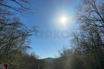 Фото №1: Земельный участок под ИЖС 9.37 сот. - Шабановское, ул. Лесная, 3