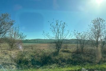 Фото №3: Земельный участок 9.37 сот. - Шабановское, ул. Лесная, 3