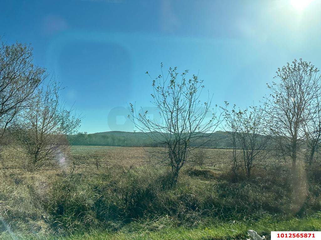 Фото №3: Земельный участок 9.37 сот. - Шабановское, ул. Лесная, 3