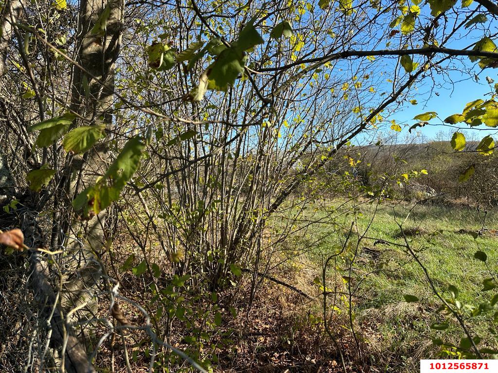 Фото №5: Земельный участок 9.37 сот. - Шабановское, ул. Лесная, 3