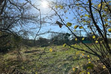 Фото №4: Земельный участок 9.37 сот. - Шабановское, ул. Лесная, 3